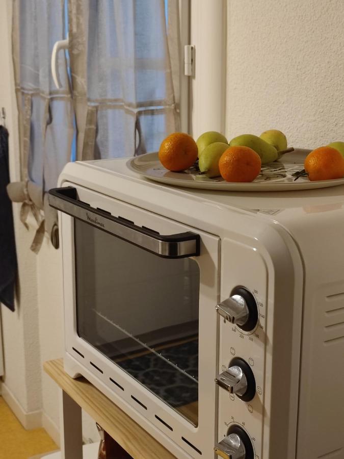 Grand Appartement En Rdc Vallee De Campan Dış mekan fotoğraf